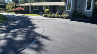 Landscape Gallery Image 5