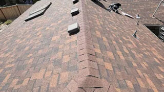 Landscape Gallery Image 6